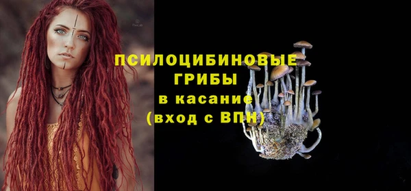 хмурый Зерноград