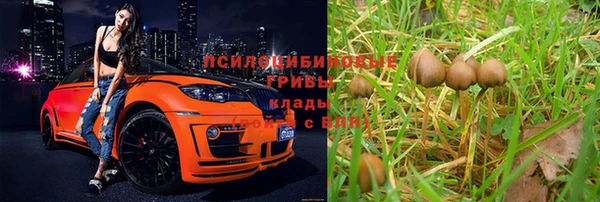 мдма Зеленодольск