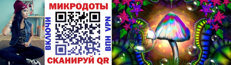 Купить  Пошехонье  Псилоцибиновые грибы GOLDEN TEACHER 