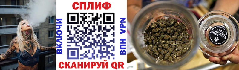 Купить закладки  Пошехонье  МАРИХУАНА конопля 